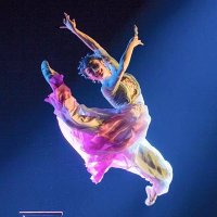 Lisa (@lisa54136050) 's Twitter Profile