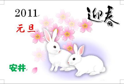 yasui1101's profile picture. ４８才、バツイチ、趣味こたつに首まで入ること。魚釣り。オートバイ、独立希望