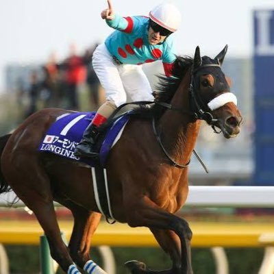 競馬と猫が大好き🏇🐈 最近は、障害レースにハマってます𓃗土日は競馬のこと、平日はうちの猫ちゃんのこと呟きます🐱障害レース好きの人と仲良くできればと思ってます！無言フォローすみませんm(*_ _)m