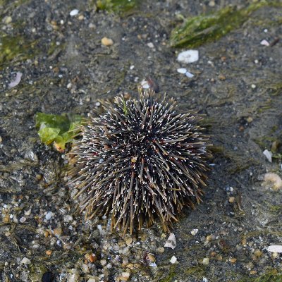 Discovering, describing, curating, and managing biodiversity collections of Aotearoa New Zealand