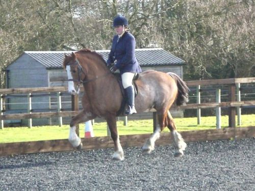 laurapinkloz's profile picture. 