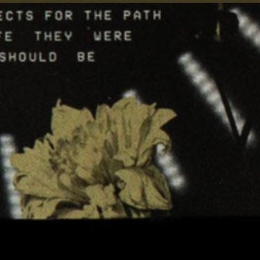 May29243901's profile picture. (: