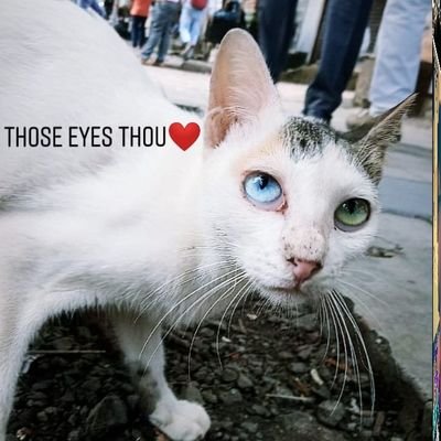 Fiza51576903's profile picture. 