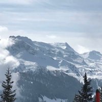 π«πππππ²ππππππππΊππ (@davos_klosters) 's Twitter Profile