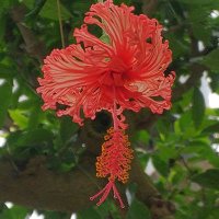 maki (@9maki20) Twitter profile photo