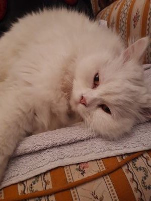 GagaMaric12's profile picture. 