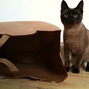 lucy mackay - @LucindaMarinda - Twitter