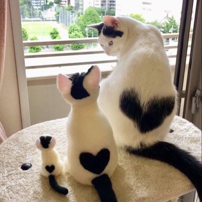 9nOsicJahBA4saf's profile picture. 심심할 때 들어오는 계정