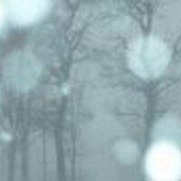 ***** (@246hikari) Twitter profile photo