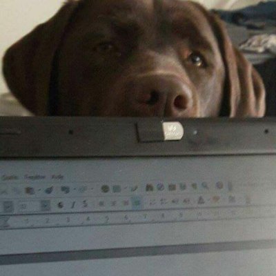 Kasrolikol's profile picture. 