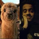 Aman Kapoor - @_kapoor_saab - Twitter