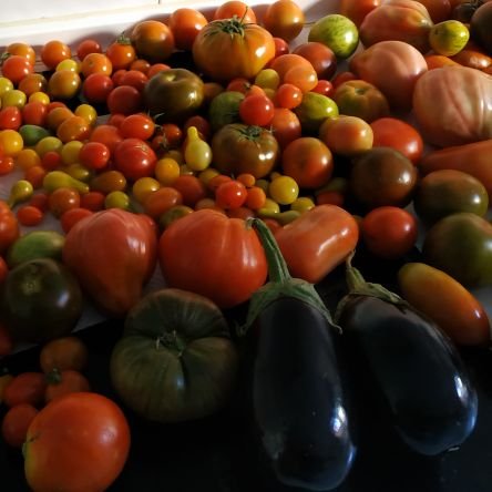 Doctora en Ciencia y Tecnología de los Alimentos
Colaboradora I+D
Seguridad Alimentaria