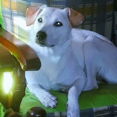 kmbaaa's profile picture. ¡Hoy es hoy, vívelo porque el tren no espera!