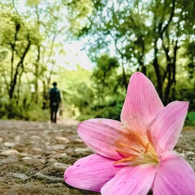 I’m just standing in front of the world, asking you to follow me. , Photographer,,Indian Govt Employee. :)