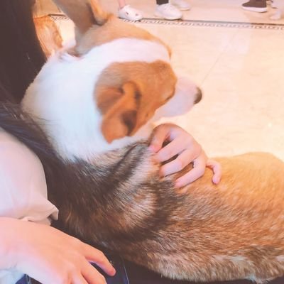 Xuuさんのプロフィール画像