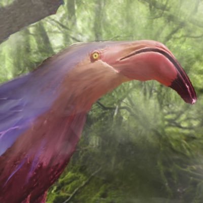 LurkOwl's profile picture. Hello this is OwlLurk Aiming to be a cg artist Thank you