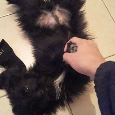 Franco 🤔🤺さんのプロフィール画像