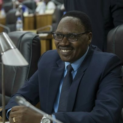 Professor and Senator in the Senate of Rwanda / Parliament