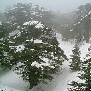 Mouhann01676523's profile picture. 