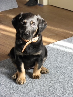 MGMWinkel's profile picture. Reclame/media; Client services, marketing