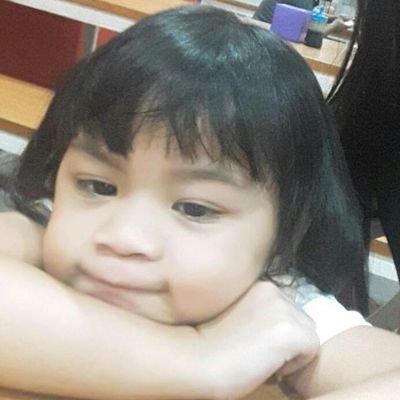 Sieghartegnard's profile picture. captain tsubasa lover