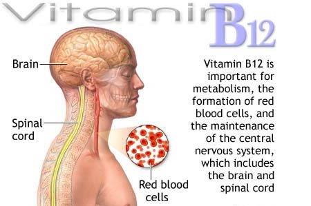 Hello and welcome to all things Vitamins,

Vitamins are important compliment. What Vitamins do you take? Do you take enough vitamins? What is vitamin b12?