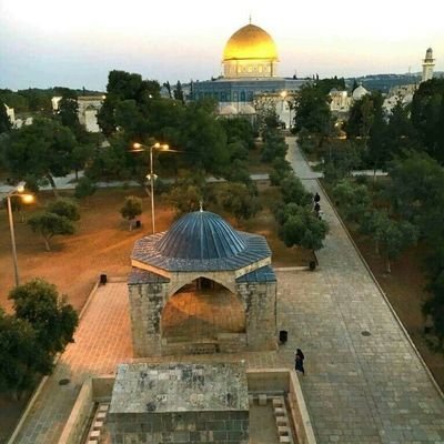 z740xbKD3bww756's profile picture. ‏القدس فی قلبی