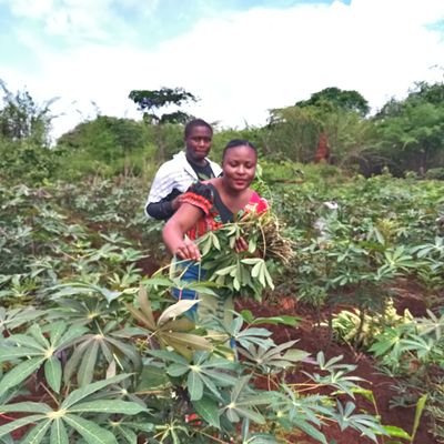 CadetKalangu's profile picture. 