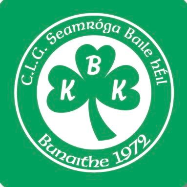 BallyhaleGAA Profile Picture