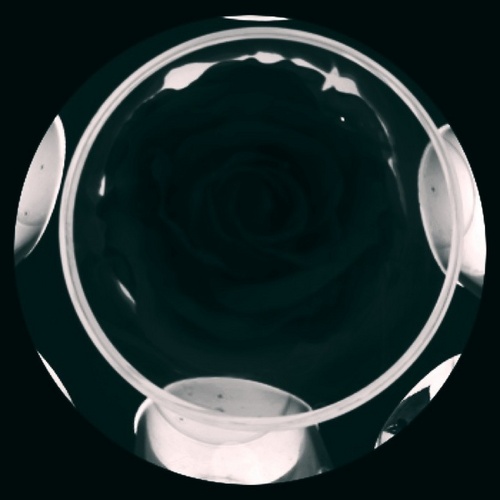 goodyhar1223's profile picture. 