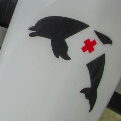 CornillatO's profile picture. INFIRMIER EN PRATIQUE AVANCEE - URGENCES
- PATHOLOGIES CHRONIQUES STABILISEES

FORMATEUR AFGSU CESU 89
INFIRMIER PRINCIPAL SDIS 89