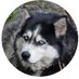 Paine Airport (@mattcawby) Twitter profile photo Paine Airport (@mattcawby) Twitter profile photo