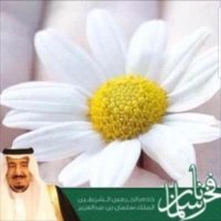 حليمة محمد العلكمي (@halimahalalkami) Twitter profile photo