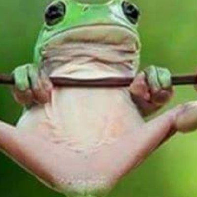 estropilleur's profile picture. Organisateur at @Afti_LAN #4 & #21.1