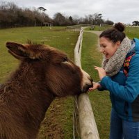 Amy Louise (@amylouzoo) 's Twitter Profile