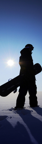 mehdi_kafai's profile picture. BIKER