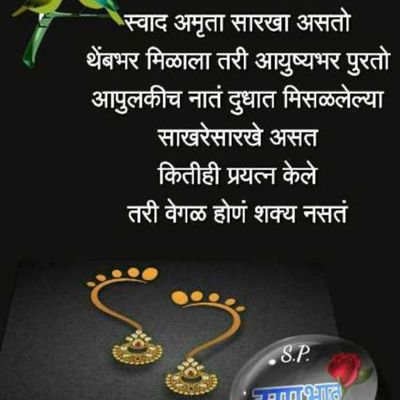 shashik61107752's profile picture. gym lover