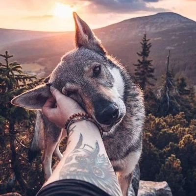 Gabriel46588236's profile picture. 