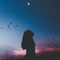 🐾H@neen🐾 (@hneen_neen) 's Twitter Profile Photo 🐾H@neen🐾 (@hneen_neen) 's Twitter Profile Photo