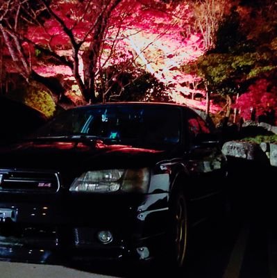 (´･ω･`)らみつさんのプロフィール画像