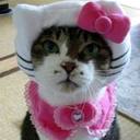 Missy Morgan - @mjm147 - Twitter