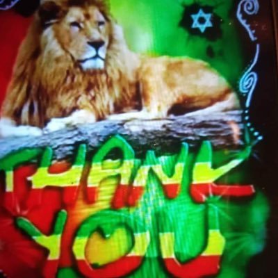 13Natty1's profile picture. Humble 💯🇯🇲🇪🇹🇺🇸