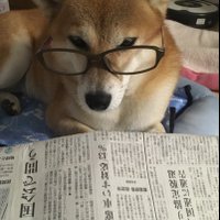 にこ (@vamostrinita1) Twitter profile photo