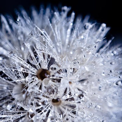 patyamatty11's profile picture. If you want to know something, simply ask.
One of the other ones.