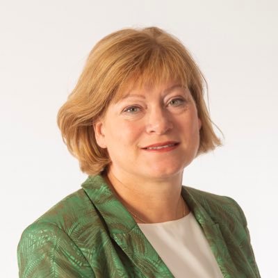 Wethouder klimaat&energie, leefomgeving, cultuur. Portefeuillehouder energietransitie SmartDelta Drechtsteden.