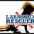 LabRescuersSD's profile image