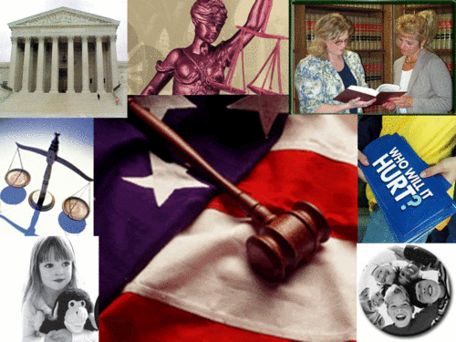 Social Media Marketing Specialist for Joshua Rose Foundation, Parental Alienation Education and Awareness Advocate,