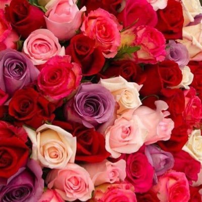 احب الفكر المستقل اكره التقليد كثير الترحال و الجمال يشدني في كل شى