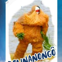 Adolinanongo (@adolinanongo) 's Twitter Profile