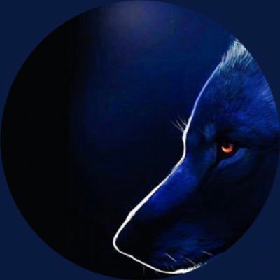 TooM_Q5's profile picture. وجودي گ رجُل في هذي المنصة لآ يعني انني سلعه للتعارف أو طلب معلوماتي الشخصيه أو صوري أو لقاء على ضوء القمر بين السمر والطلح فزمن الغباء والدلاخه قد إنتهى...🤚🏾